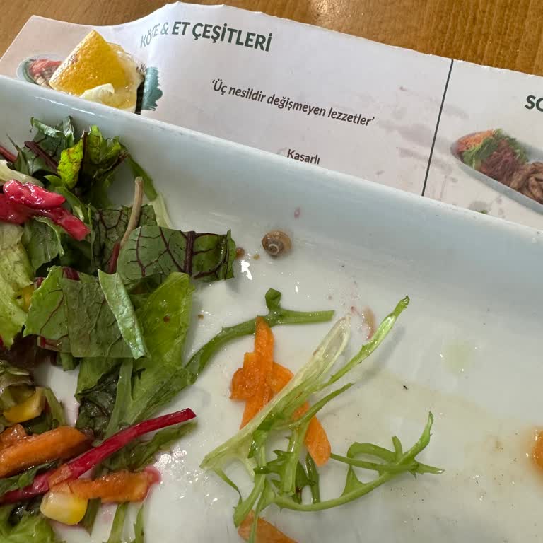 Köfteci Ramiz Salatan Salyangoz Çıktı