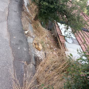 Ümraniye Belediyesi Mahalle Kirliliği Ve İlaçlanmaması