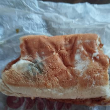 Burger King Küflü Ekmek İle Ürün Vermesi