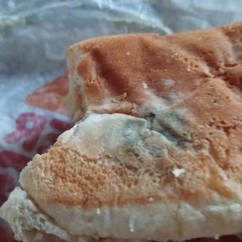 Burger King Küflü Ekmek İle Ürün Vermesi