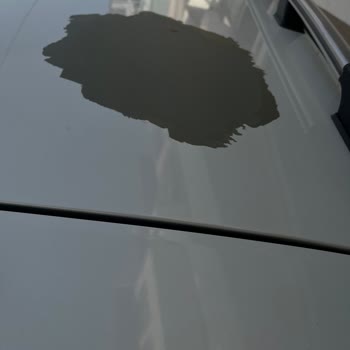 Nissan Firmasını Yakışmayan Boya Atması