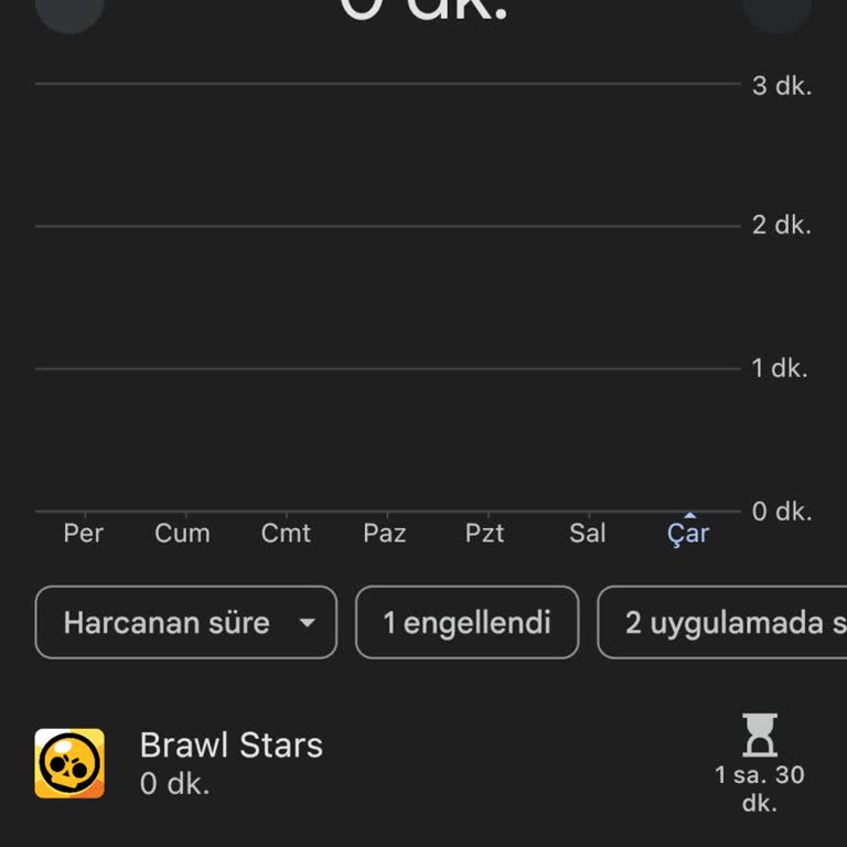Family Link 2. Çocuk Kontrolü Çalışmamaktadır