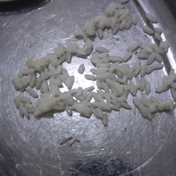 A101'den Aldığım Pirinçten Kurt Çıktı