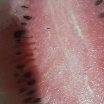 Getir Pişmanlıktır, Küflü Ürün Gönderip Paranızı İade Etmiyorlar!