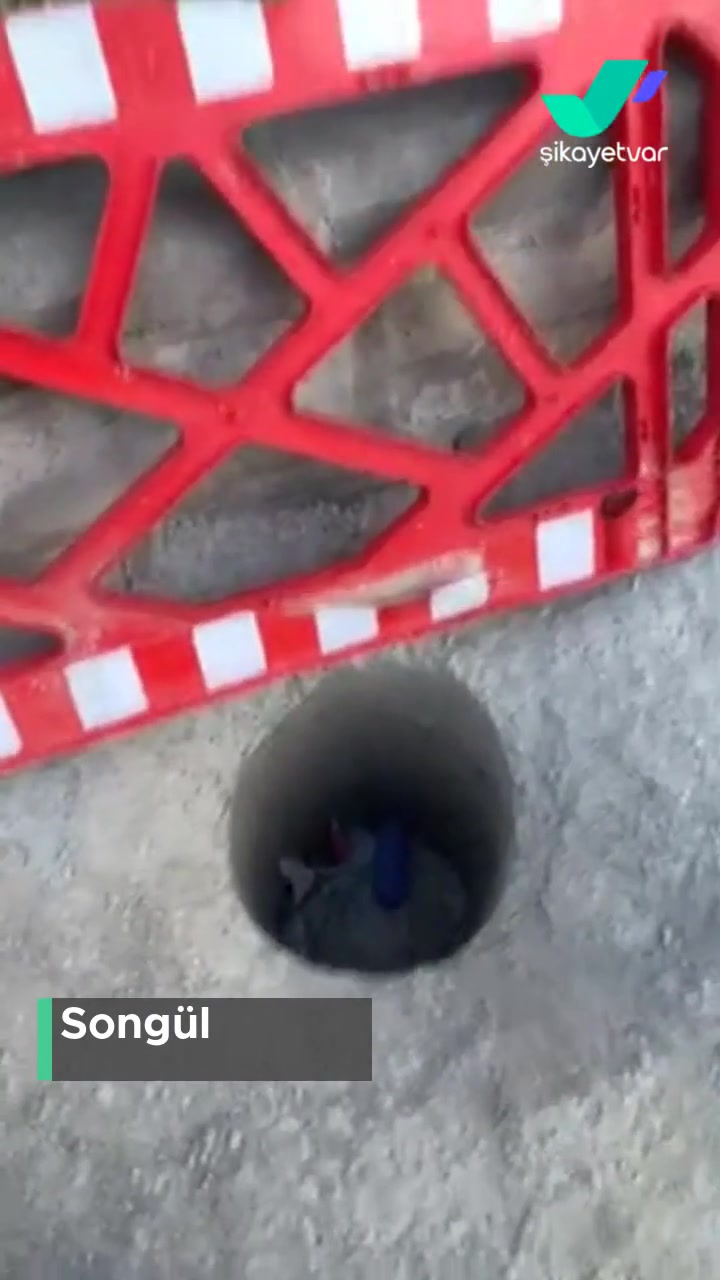 İzmir Konak Belediyesi'ne Mahallemizle İlgili Şikayetimiz! videonun kapak resmi