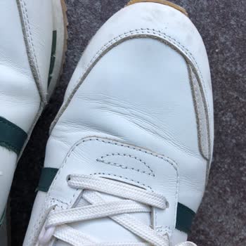 Lacoste Markasını Neden Tercih Etmemeliyiz