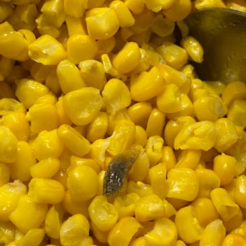 A101 İçinden Bir Şey Çıktı