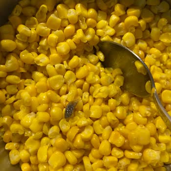 A101 İçinden Bir Şey Çıktı