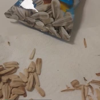 Kara Sevda Çekirdek Bir An Önce Durdurulsun!
