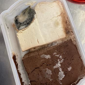 Algida Küflü Dondurma Çıktı