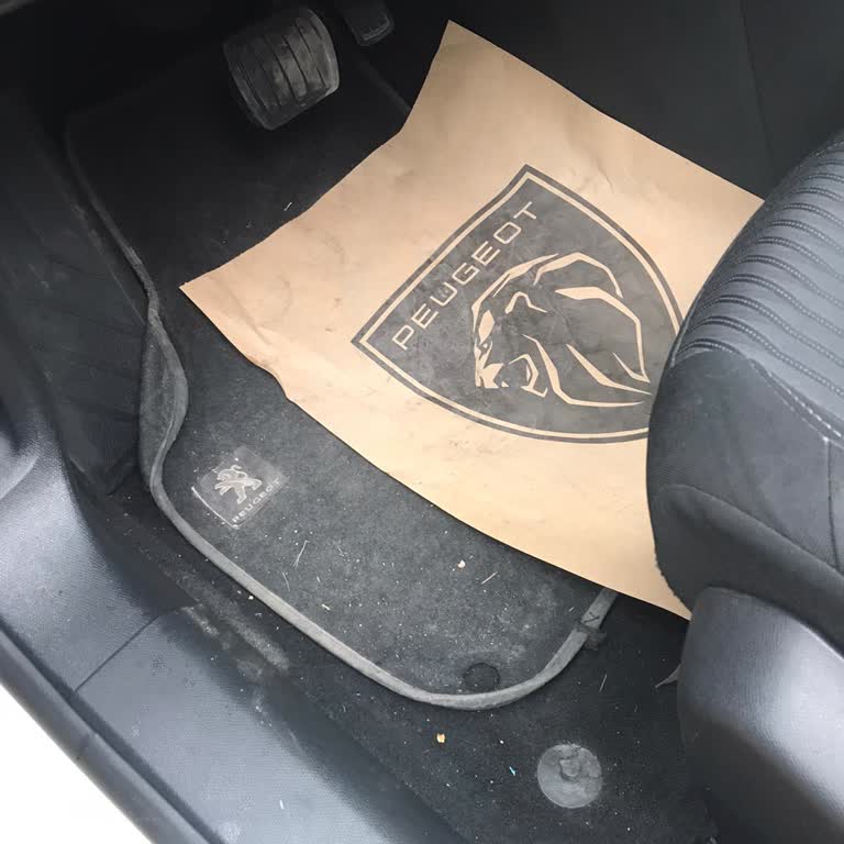 Göral Peugeot Araç Teslimi