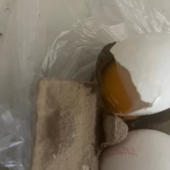 Migros Sanal Market Hasarlı Ürün İçin İade, Değişim Yapmıyor Aramıyor