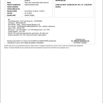 Gelir İdaresi Başkanlığı Mükerrer Ödenen Trafik Cezaları