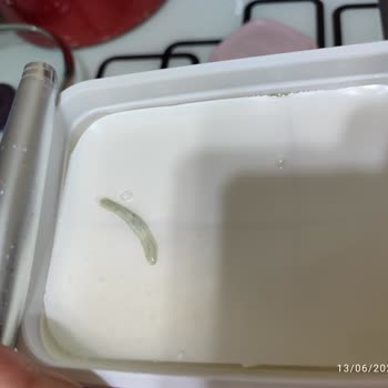 Ekici Süzme Peynir Üstünden Küf Çıktı