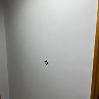 Filli Boyanın Renk Hatası