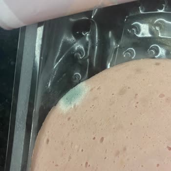 Lezita Aç Ye Şikayet