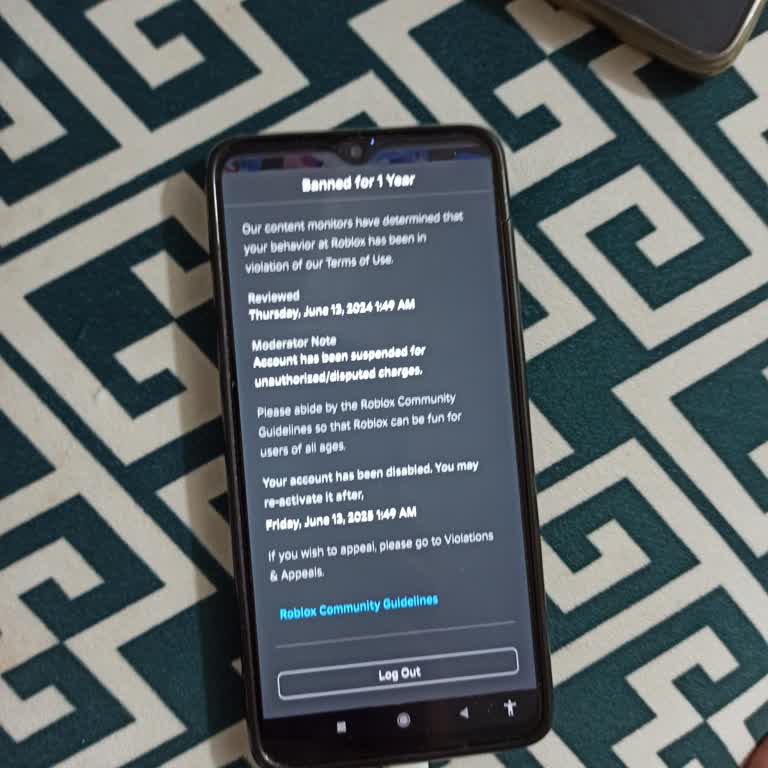 ROBLOX 1 Yıl Ban Yedim