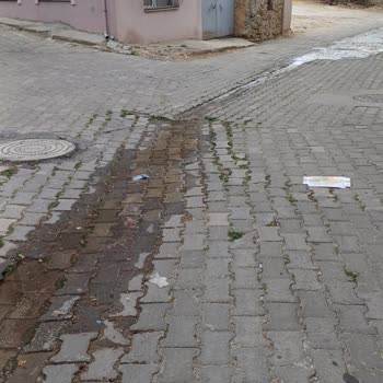 Edirne Belediyesi Mahallede Su Patlağı Var