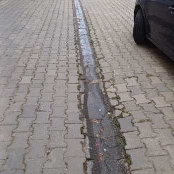 Edirne Belediyesi Mahallede Su Patlağı Var