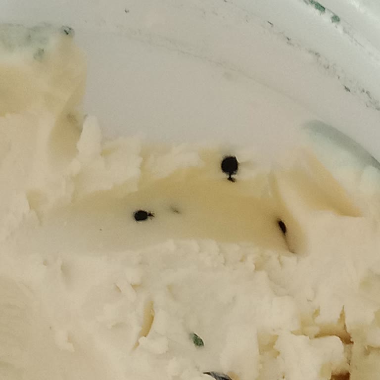 Torunoğlu Süt Torunoğlu Peynir Küflendi