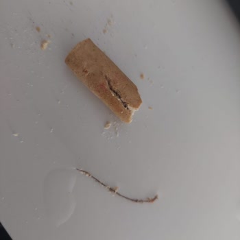 Ülker Altınbaşak Grissini İçerisinde Yabancı Madde