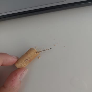 Ülker Altınbaşak Grissini İçerisinde Yabancı Madde