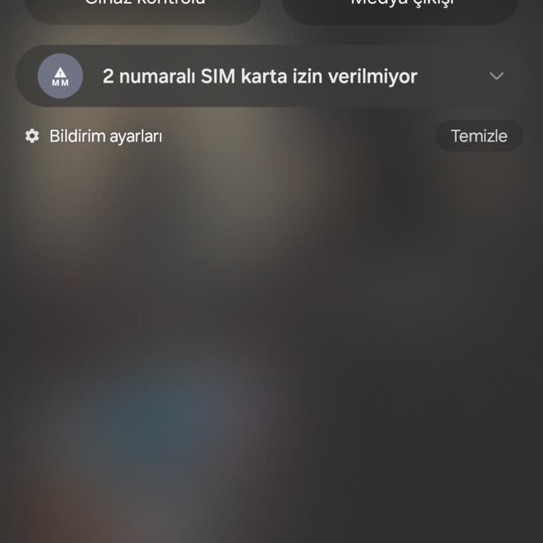 Samsung Telefon "2 Numaralı Sim Karta İzin Verilmiyor" Hatası