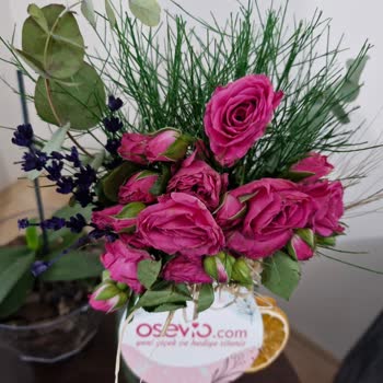 Osevio.com Solmuş Gelen Çiçekler