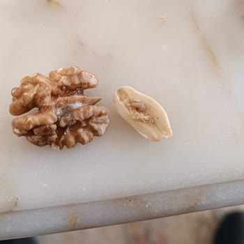 Davut Selim Gıda Küflü Ve Kurtlu Çerez