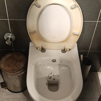 Petrol Ofisi İstasyonunun Tuvaletlere Gösterdiği Hijyen...