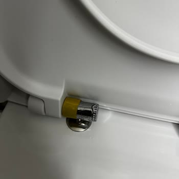 Bien Seramik Bien Klozet Kapağı Menteşesi Kırıldı