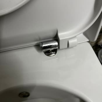 Bien Seramik Bien Klozet Kapağı Menteşesi Kırıldı