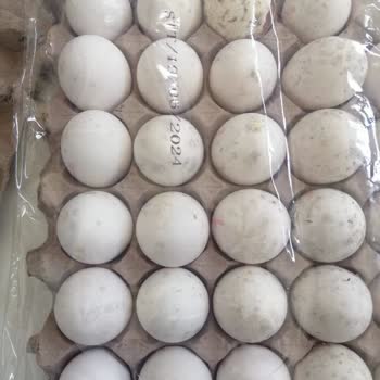 Migros Bozuk Yumurta Satıyor