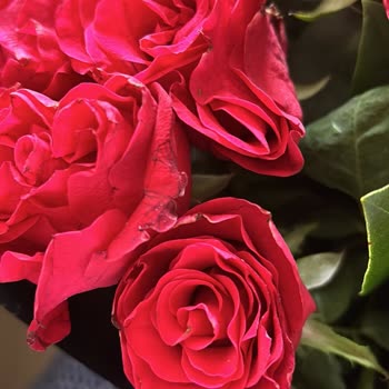 Çiçek Sepeti Alınan Çiçek