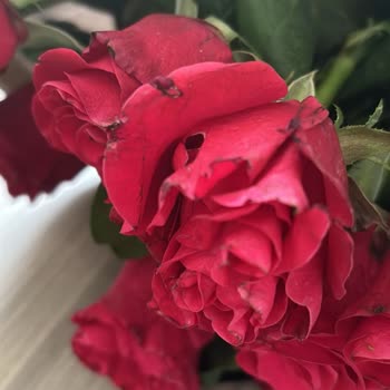 Çiçek Sepeti Alınan Çiçek