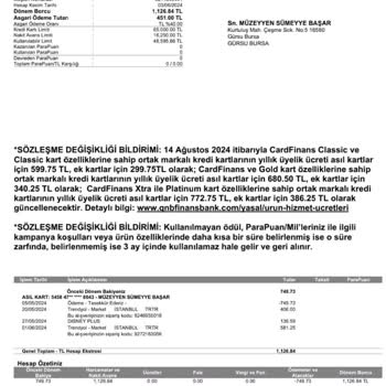 Disney Plus Üyelik İptali