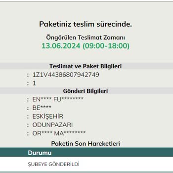 UPS Türkiye'nin Sunamadığı Hizmet