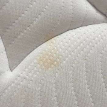 Bambi Yatak Ürünün Markasi Borjen