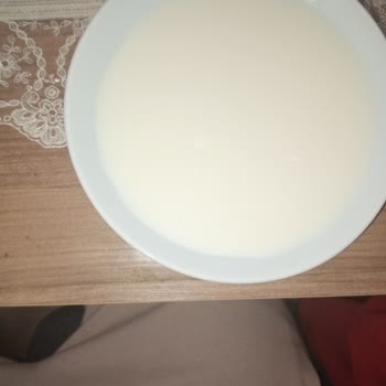 Güney Süt İçindeki Kireç Benzeri Şeyler