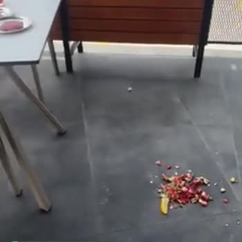 Polatlı Köfteci Yusuf Şubesinin Hali!