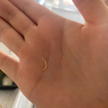 Tekirdağ Değirmenaltı Tavuk Dünyası'nın Sorumsuzluğu!