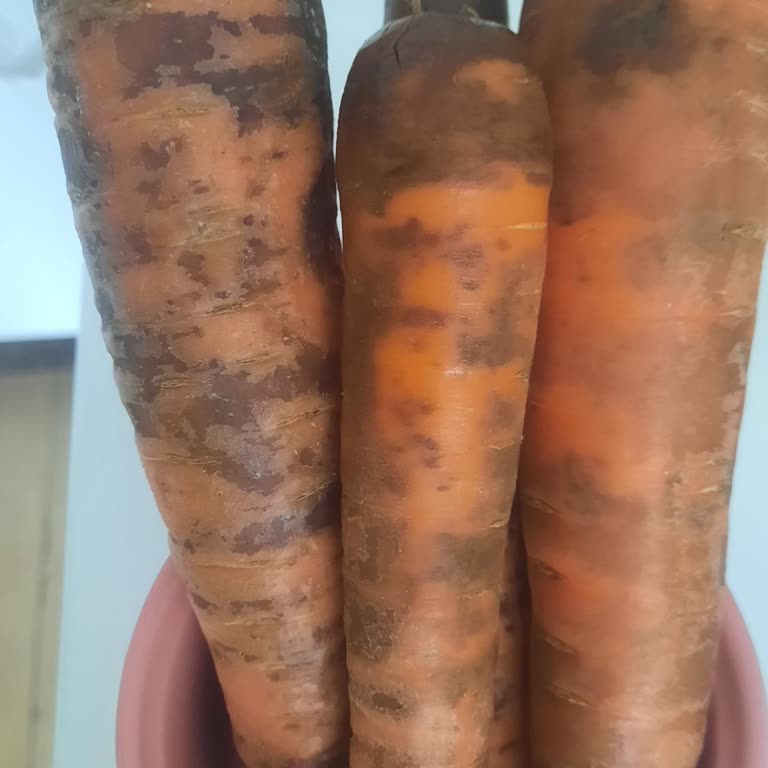 Migros İnsan Sağlığını Tehdit Eden Ürün Satıyor