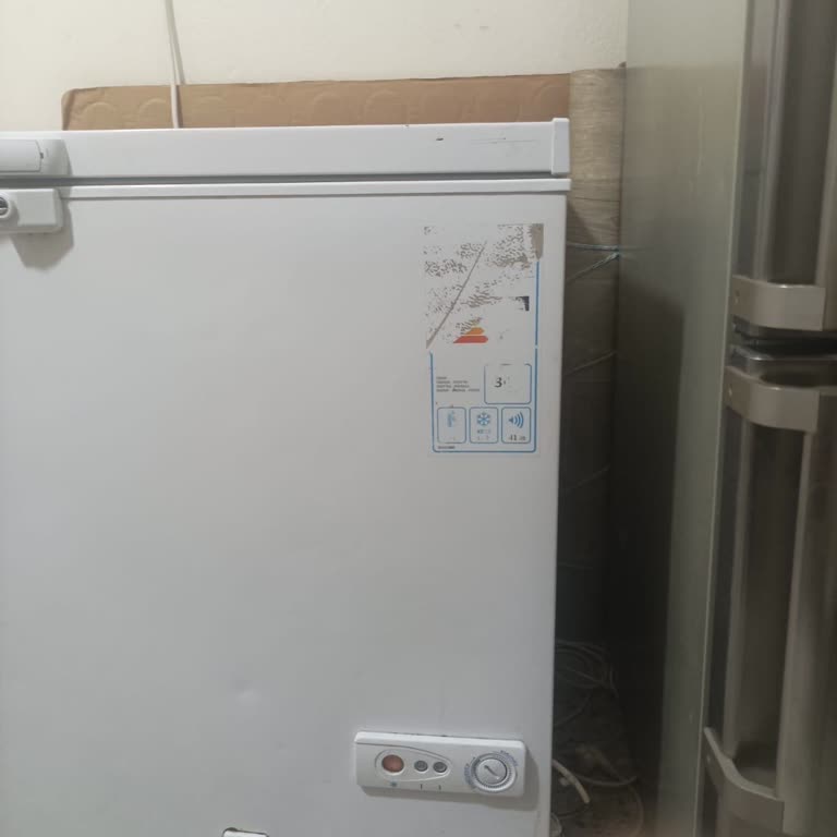 Şenocak Derin Dondurucu Arızası Ve İlgisizlik Ve Sıfır Hizmet Kalitesi