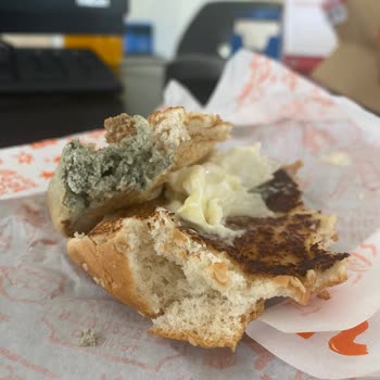 Popeyes Migros Marmaris İşbirliğinin Küflü Ekmek Hikayesi
