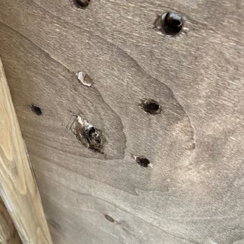 Pink Home'dan Yaşadığım Mağduriyet