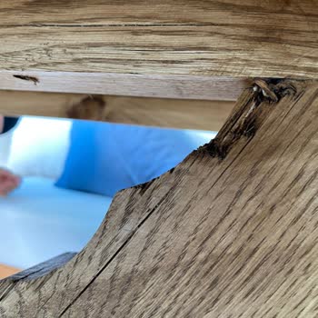 Pink Home'dan Yaşadığım Mağduriyet