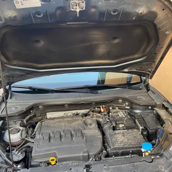 Seat Wosmer Sunroof Ve Motor Temizlik Şikayeti