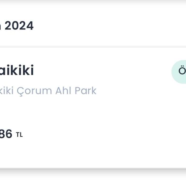 Chippin Kazandığım Puanları Yüklemiyor
