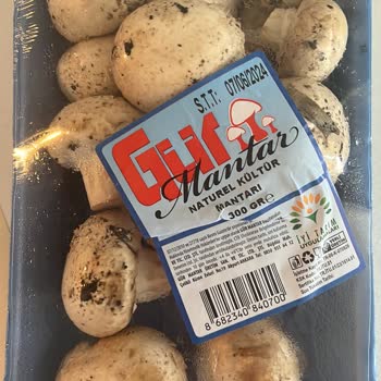 A101 Tarihi 1 Hafta Geçmiş Mantar Getirdi!