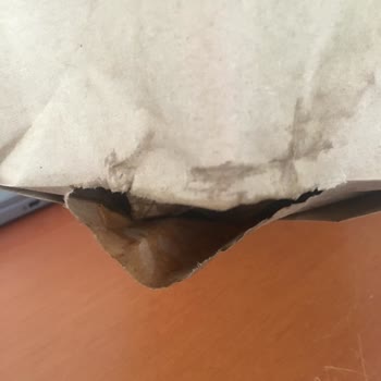 McDonald's Bir Pişmanlıktır